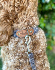 Outback Tails Leather Collar - Mina Mina