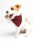 Hunter + Hound Bandanas