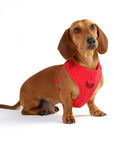 Doog Neosport Soft Harness - Red