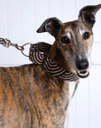 Outback Tails Martingale Collars