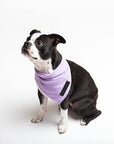 Hunter + Hound Bandanas