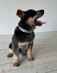 Outback Tails Leather Collar - Blue Puli Puli