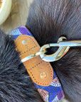 Outback Tails Leather Collar - Salt Lakes