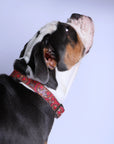 Outback Tails Leather Collar - Snake Dreaming
