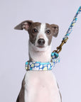 Outback Tails Martingale Collars