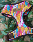 Outback Tails - Sand Dunes Dog Harness