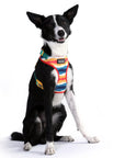 Neoflex Soft Harness - Scout
