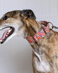 Outback Tails Martingale Collars