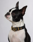 Aus Handmade Dog Collar Recycled