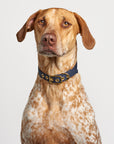Aus Handmade Dog Collar Recycled