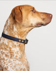 Aus Handmade Dog Collar Recycled