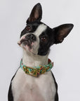 Aus Handmade Dog Collar Recycled