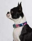 Aus Handmade Dog Collar Organic Cotton