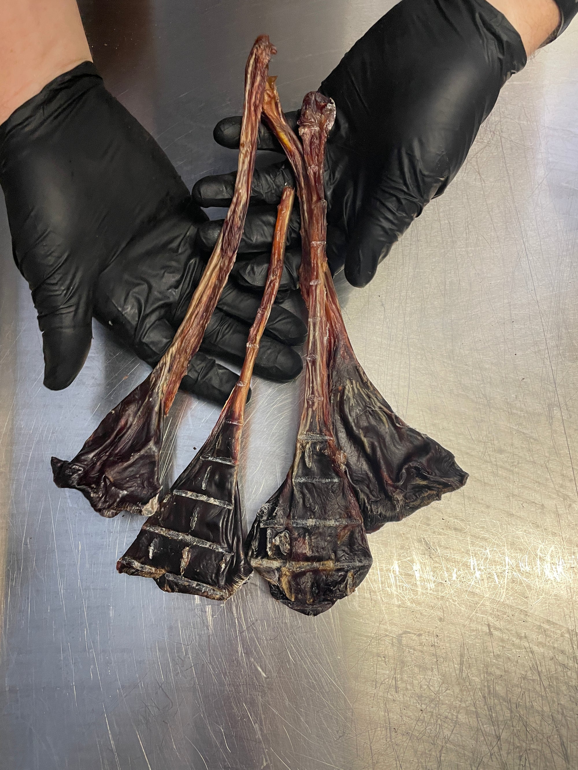 organic kangaroo tendon dog treats - natural australian organic healthy dog treats