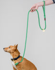 Handmade Australian Rope Lead Leash