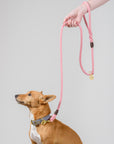 Handmade Australian Rope Lead Leash