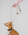 Handmade Australian Rope Lead Leash