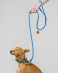 Handmade Australian Rope Lead Leash