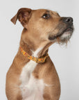 Handmade Dog Collar Organic Cotton Australia