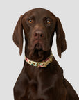 Animals In Charge Collar - Cottage Garden