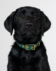 Aus Handmade Dog Collar Recycled