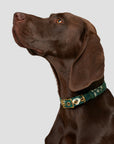 Aus Handmade Dog Collar Organic Cotton