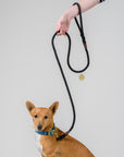 Handmade Australian Rope Lead Leash