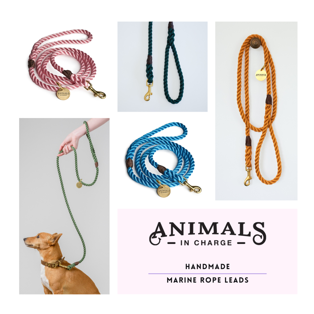 Animals In Charge Leads