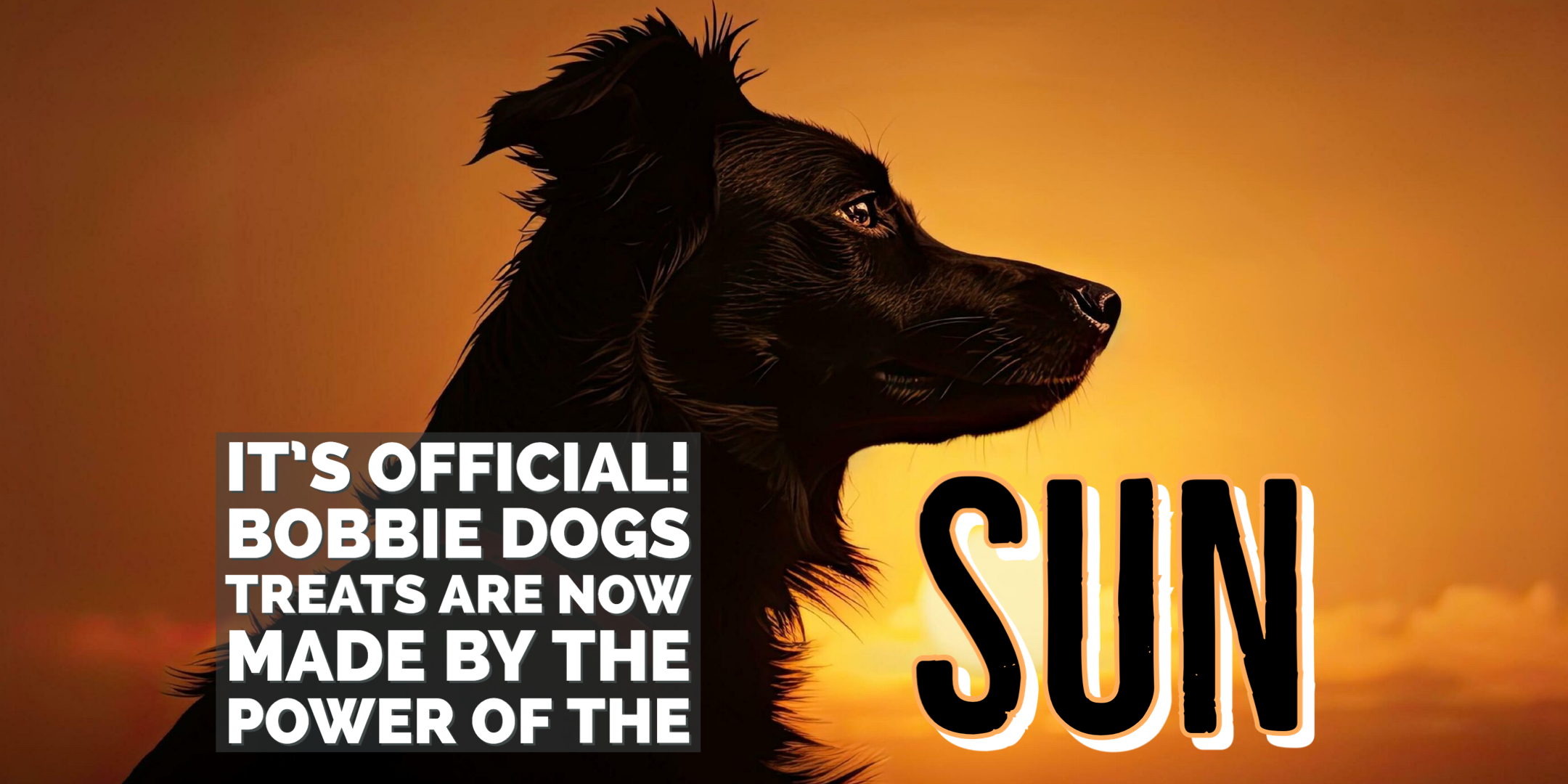Bobbie Dogs Powered By The Sun