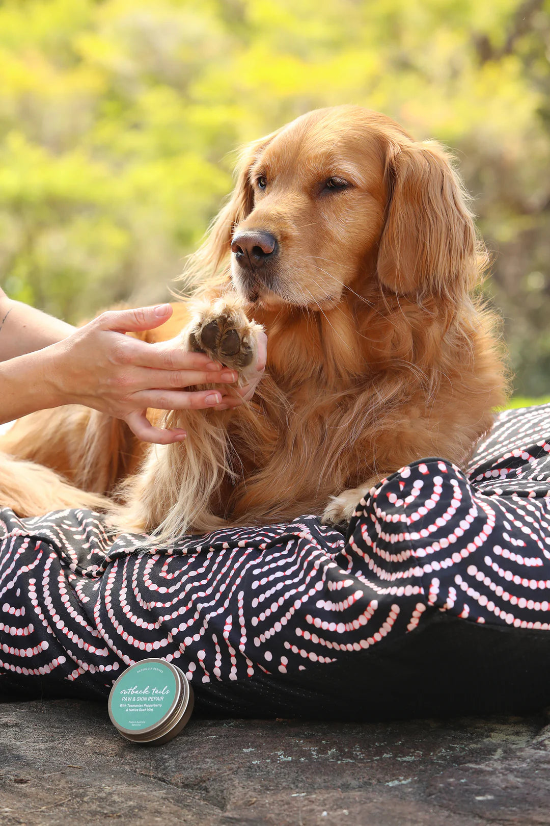 Paw &amp; Skin Repair