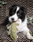 Outback Tails Dog Toys - Corey the Croc