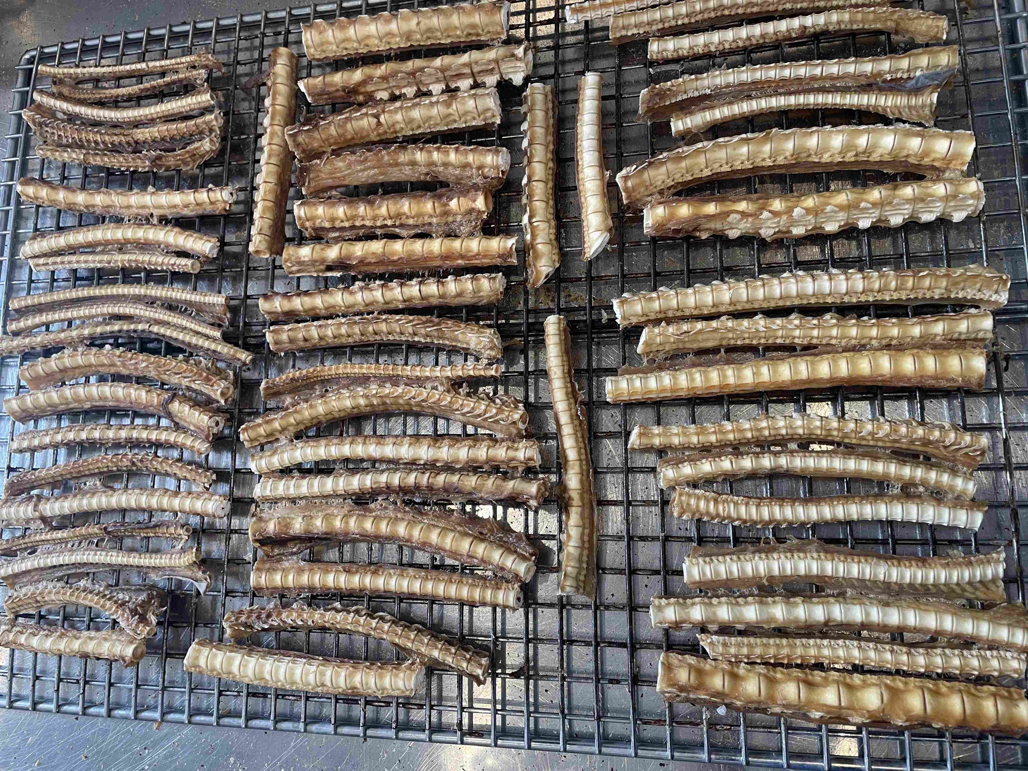NZ Shark Cartilage (Joint Support Chew)
