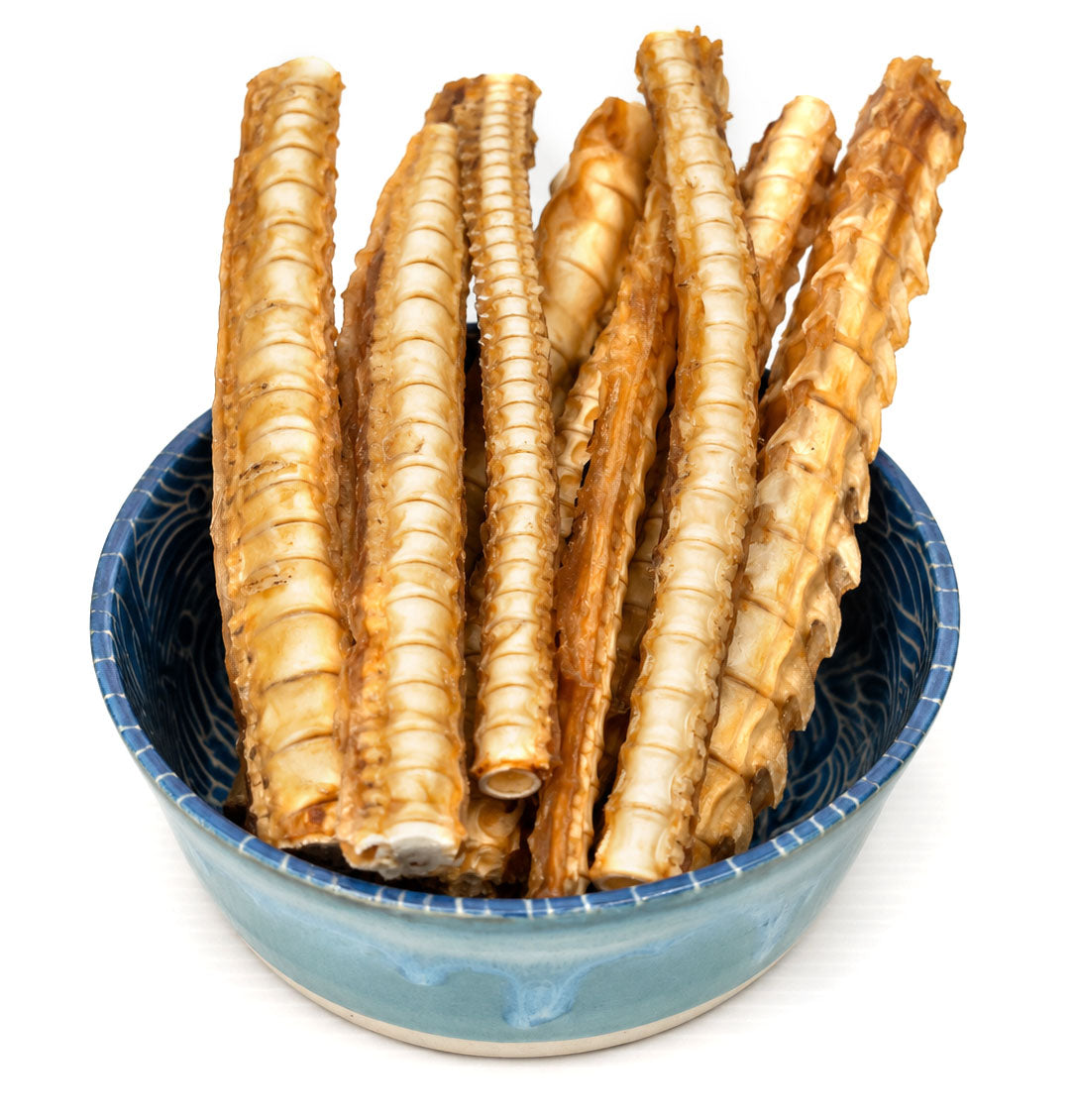 NZ Shark Cartilage (Joint Support Chew)
