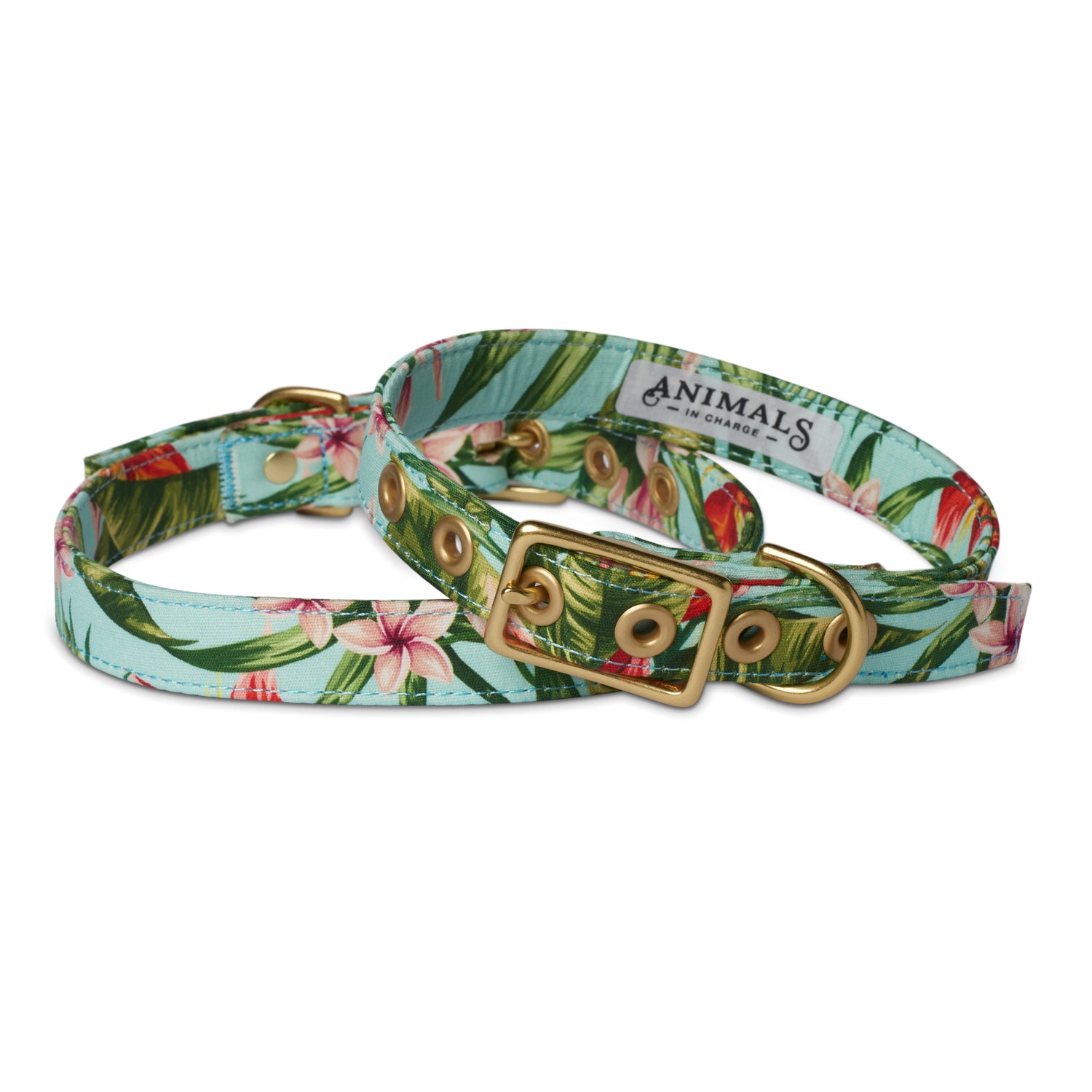 Animals In Charge Collar - Handmade Organic Cotton Collar Coastal ...