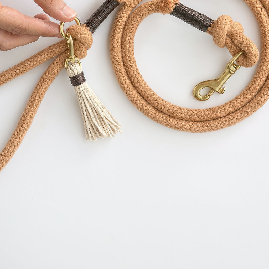 Cotton best sale rope leash